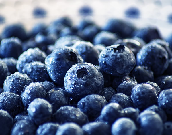 冷凍藍莓，一個被嚴重低估的產品